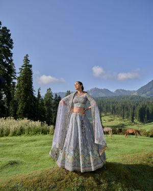New Lehenga Choli