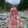 Designer Lehengha Choli